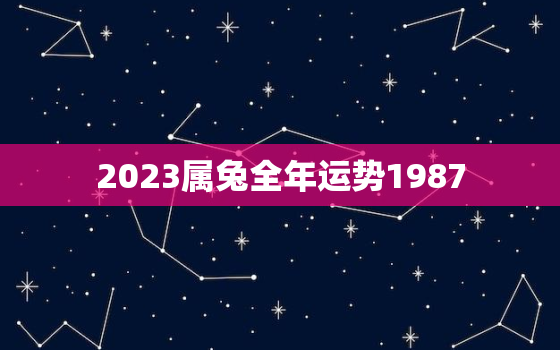 2023属兔全年运势1987，2023年属兔人运势1987