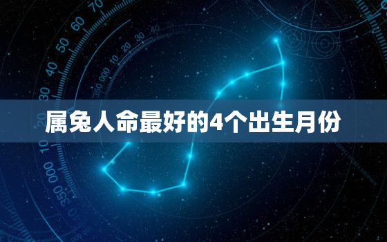 属兔人命最好的4个出生月份，2023年生兔备孕最佳时间表