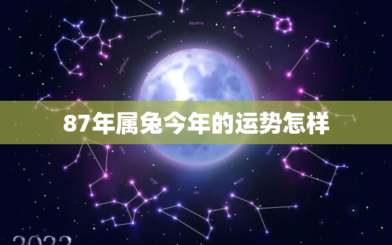 87年属兔今年的运势怎样，87年属兔的人今年运势怎么样