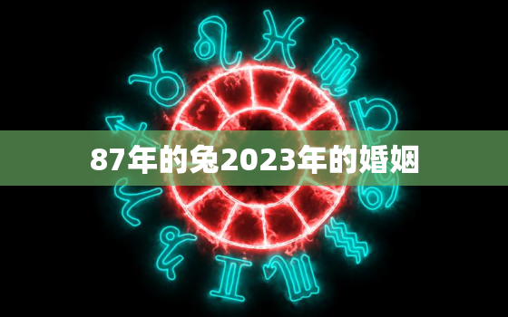 87年的兔2023年的婚姻，1987年兔女2023年感情与婚姻