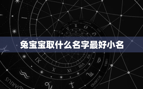 兔宝宝取什么名字最好小名，兔宝宝起什么名字