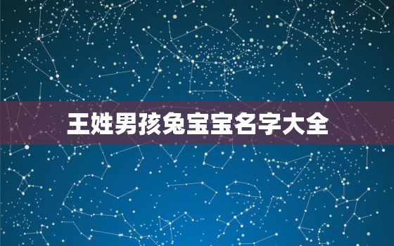 王姓男孩兔宝宝名字大全，王姓兔宝宝取名大全2021款