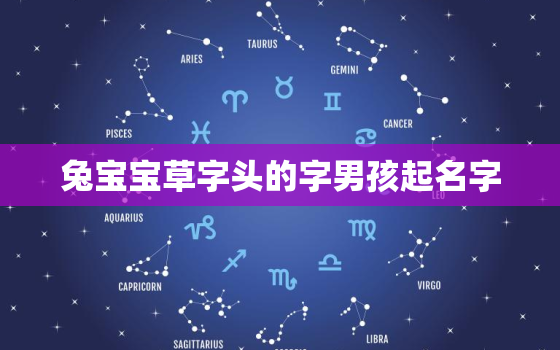 兔宝宝草字头的字男孩起名字，属兔草字头寓意比较好的字