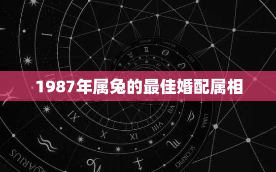 1987年属兔的最佳婚配属相，1987年属兔的婚配表