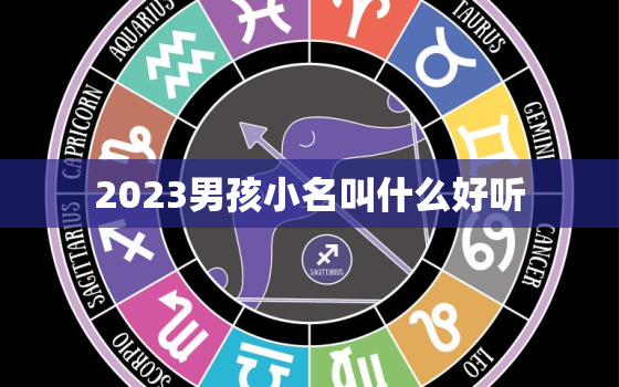 2023男孩小名叫什么好听，2023兔年男孩取什么名字好