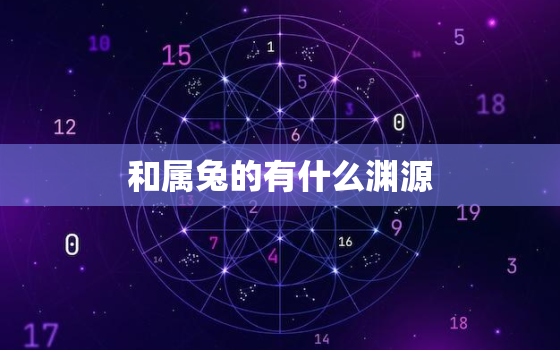 
和属兔的有什么渊源，
和属兔的有什么渊源