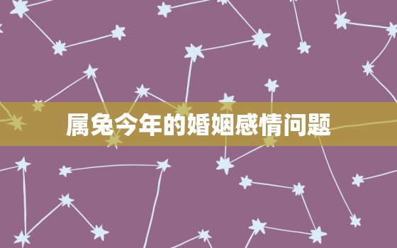 属兔今年的婚姻感情问题，属兔的人今年婚姻会有什么问题