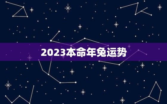 2023本命年兔运势，2023年属兔的本命年