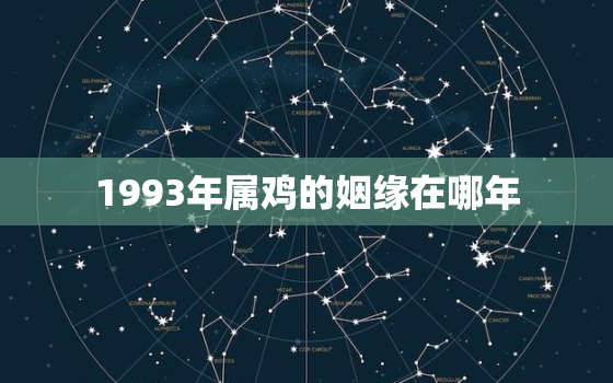 1993年属鸡的姻缘在哪年，93年属鸡的姻缘在那年