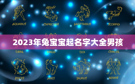 2023年兔宝宝起名字大全男孩，2023年属兔宝宝取名