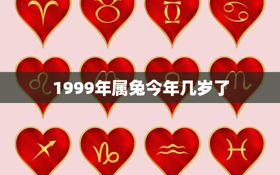 1999年属兔今年几岁了，1999年属兔的今年多少岁