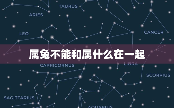 属兔不能和属什么在一起，属兔不能跟什么生肖在一起