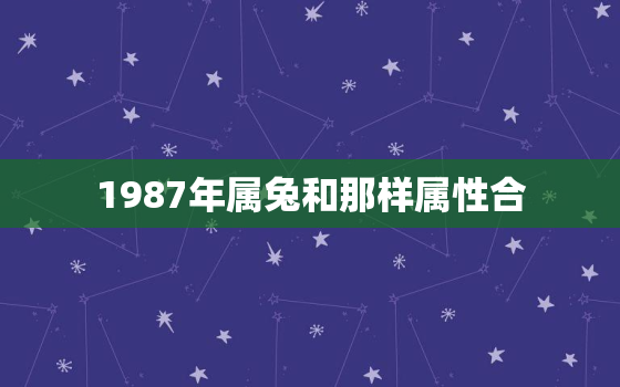 1987年属兔和那样属性合，1987年属兔和什么属相合