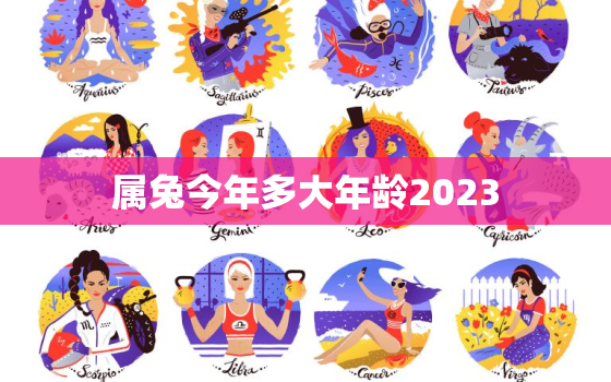 属兔今年多大年龄2023，属兔今年多大年龄2022