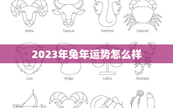 2023年兔年运势怎么样，2023年兔人运势运程每月运程