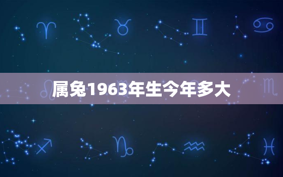 属兔1963年生今年多大，1963年属兔的人今年多少岁