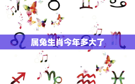 属兔生肖今年多大了，属兔生肖今年多大了啊