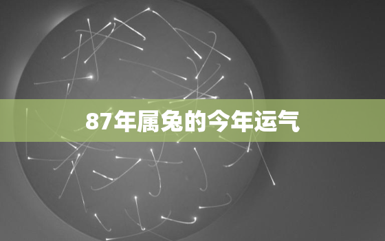 87年属兔的今年运气，87年属兔的今年运气好不好