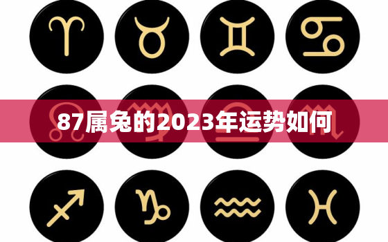 87属兔的2023年运势如何，87年属兔2023年运势及运程每月