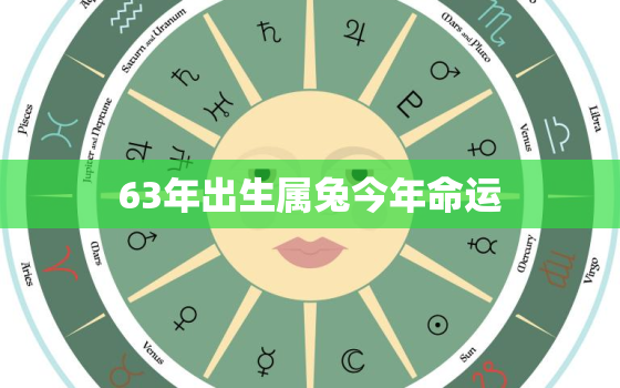 63年出生属兔今年命运，63年出生属兔今年财运