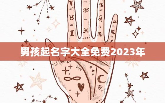 男孩起名字大全免费2023年，2023年名字大全