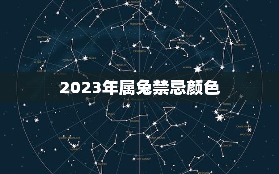 2023年属兔禁忌颜色，2023兔年最旺的四个属相