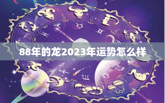 88年的龙2023年运势怎么样，88年的龙2023年运势怎么样女