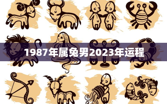 1987年属兔男2023年运程，87年属兔男2023年每月运势及运程