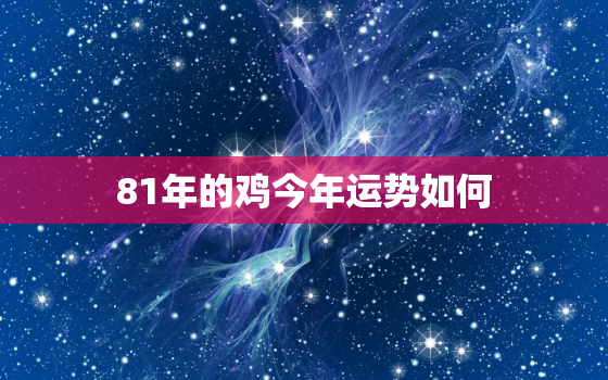 81年的鸡今年运势如何，81年的鸡今年的运程