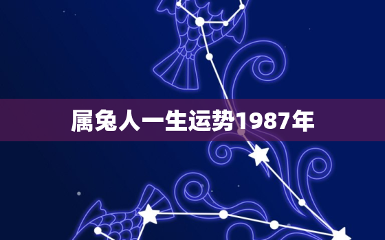 属兔人一生运势1987年，属兔人一生运势1987年男