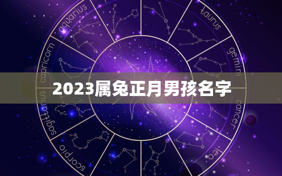 2023属兔正月男孩名字，属兔的男孩正月出生好不好