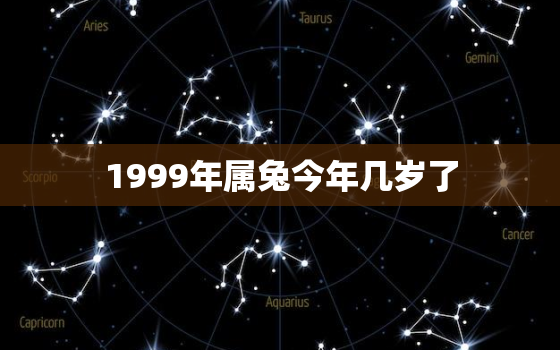 1999年属兔今年几岁了，1999年出生属兔今年几岁