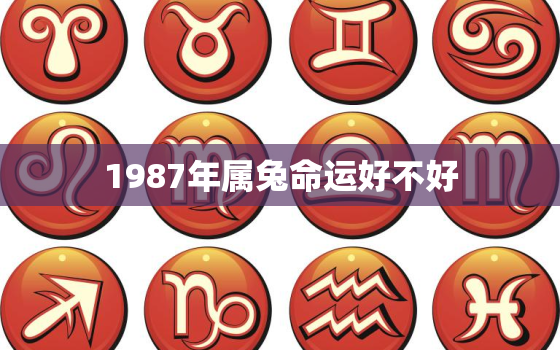 1987年属兔命运好不好，1987年属兔的命