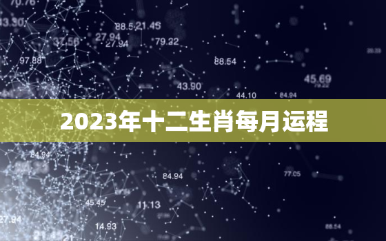 2023年十二生肖每月运程，1987属兔人2023年全年运势运程