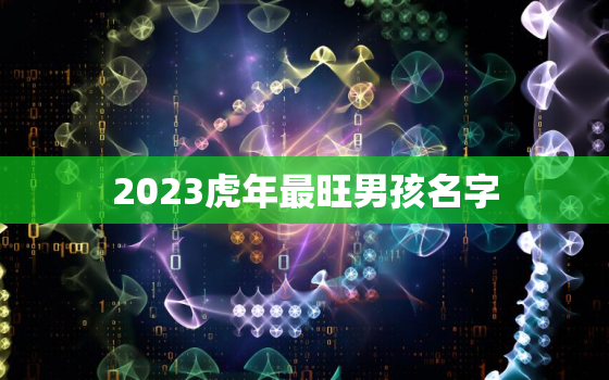 2023虎年最旺男孩名字，2022虎年最旺男孩名字