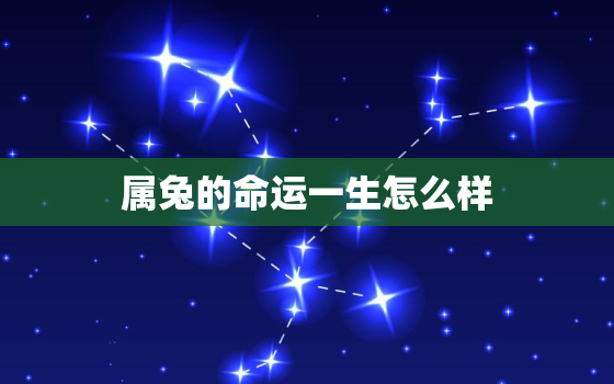 属兔的命运一生怎么样，2023年备孕最佳时间表农历