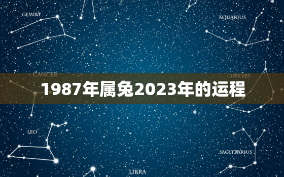 1987年属兔2023年的运程，1987年属兔2023年运势
