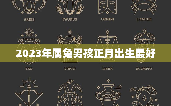 2023年属兔男孩正月出生最好，2023年正月的兔宝宝