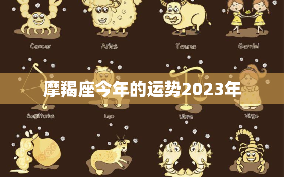 摩羯座今年的运势2023年，摩羯座今年的运势2023年