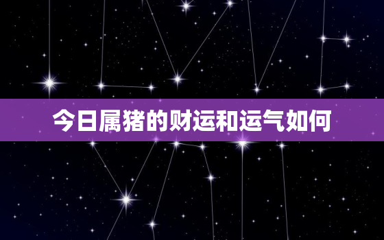 今日属猪的财运和运气如何，今日属猪人的财运方向