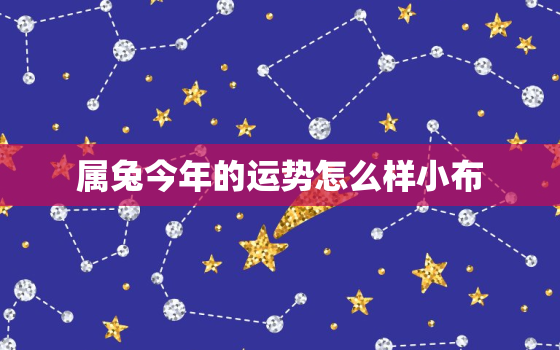 属兔今年的运势怎么样小布，属兔今年运气怎么样2021