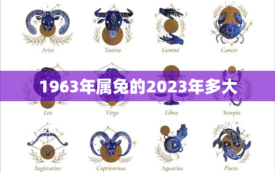 1963年属兔的2023年多大，63年兔在2023年运势