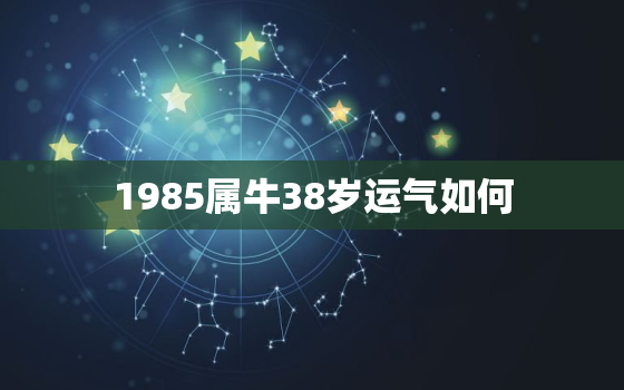 1985属牛38岁运气如何，1985属牛女38岁运气如何