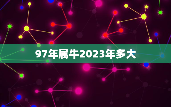 97年属牛2023年多大，97年出生2023年几岁