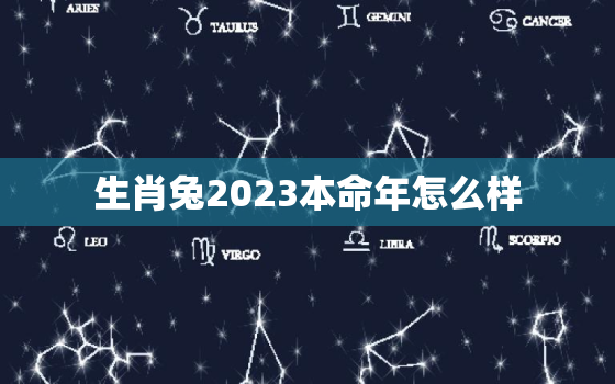 生肖兔2023本命年怎么样，1987年生肖兔2023本命年怎么样