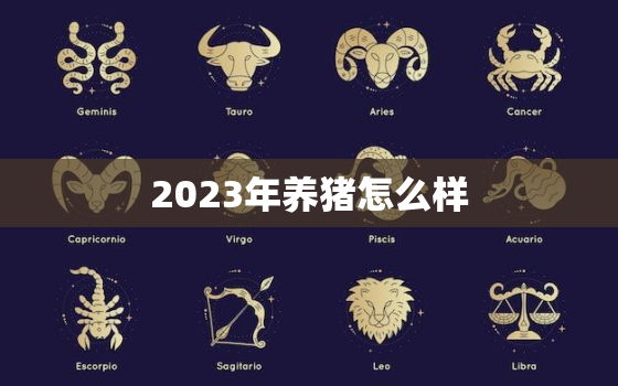 2023年养猪怎么样，2023养猪行业市场行情