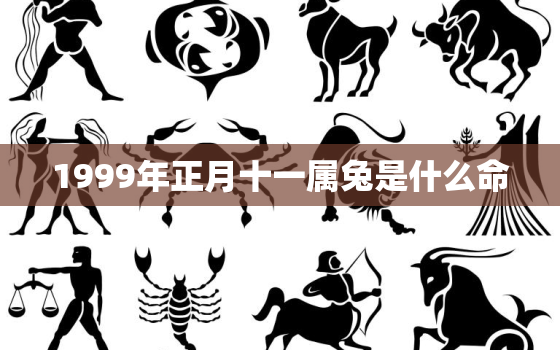 1999年正月十一属兔是什么命，农历1999年正月十一是什么星座