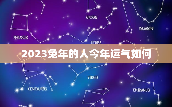 2023兔年的人今年运气如何，2023兔年的人今年运气如何呢