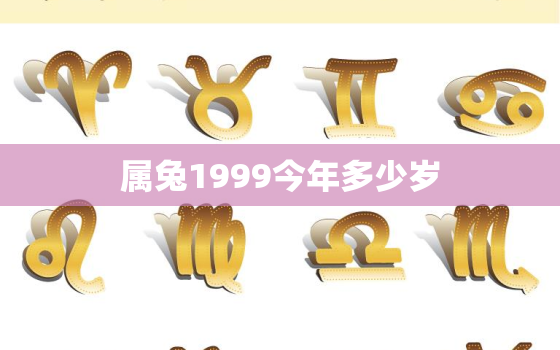 属兔1999今年多少岁，1999属兔的今年多少岁了