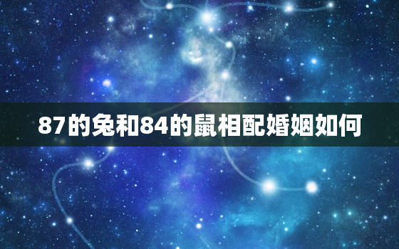 87的兔和84的鼠相配婚姻如何，87兔和84鼠婚姻怎样化解